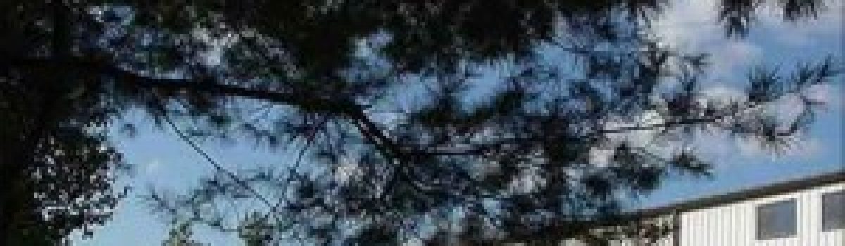 SiteVision Develops New CMS For Shenandoah Framing