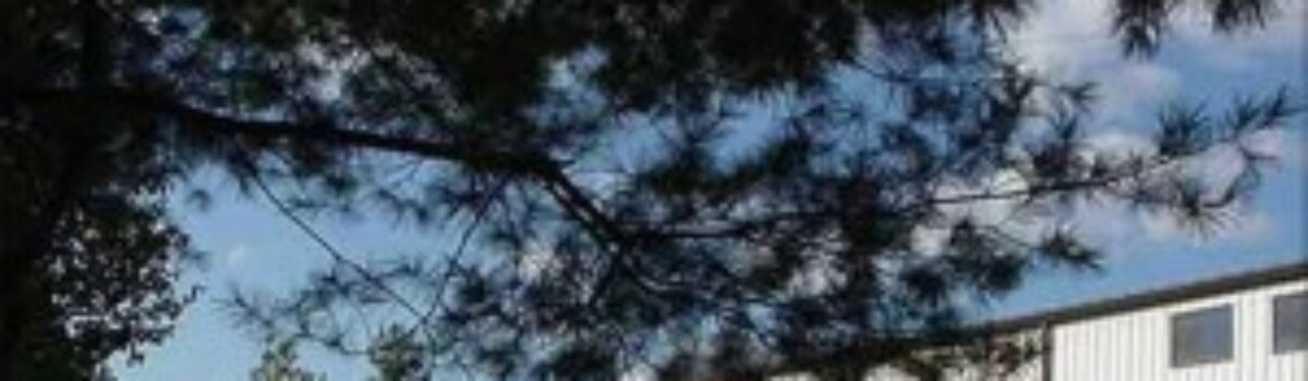 SiteVision Develops New CMS For Shenandoah Framing